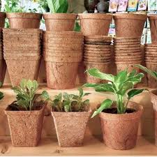 Coco Fibre Pots